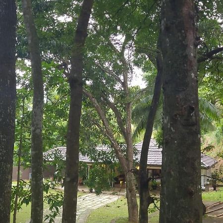 Villa D55 Kandy Exterior foto