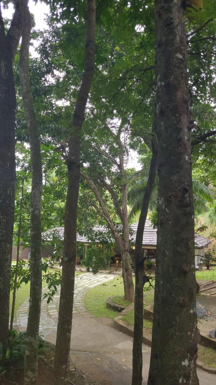 Villa D55 Kandy Exterior foto